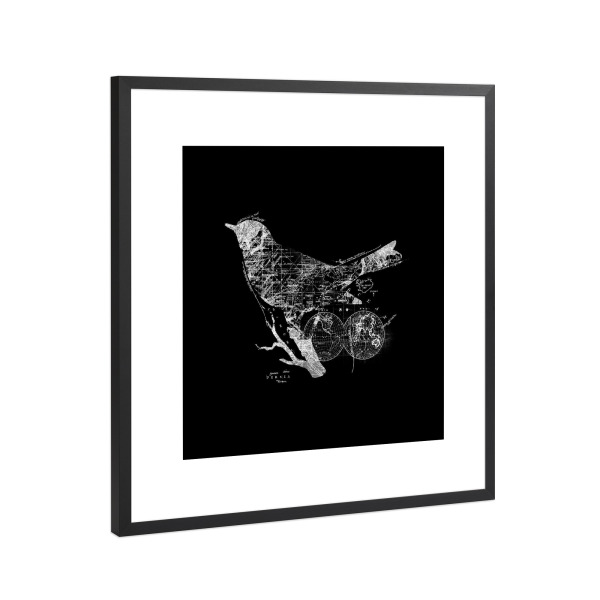 Poster mit Rahmen Schwarz (Metallic) "Bird Wanderlust" artboxONE - Tiere,Kartografie