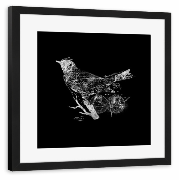 Poster mit Rahmen schwarz "Bird Wanderlust" artboxONE - Tiere,Kartografie
