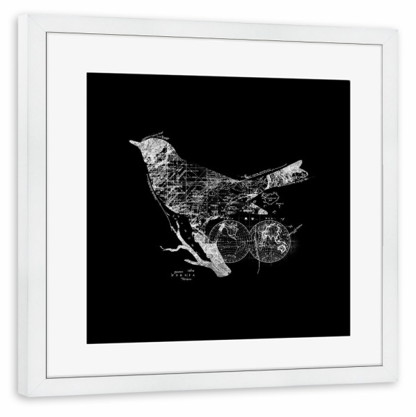 Poster mit Rahmen weiß "Bird Wanderlust" artboxONE - Tiere,Kartografie