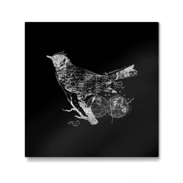 Galerie-Print "Bird Wanderlust" 30x30 cm artboxONE