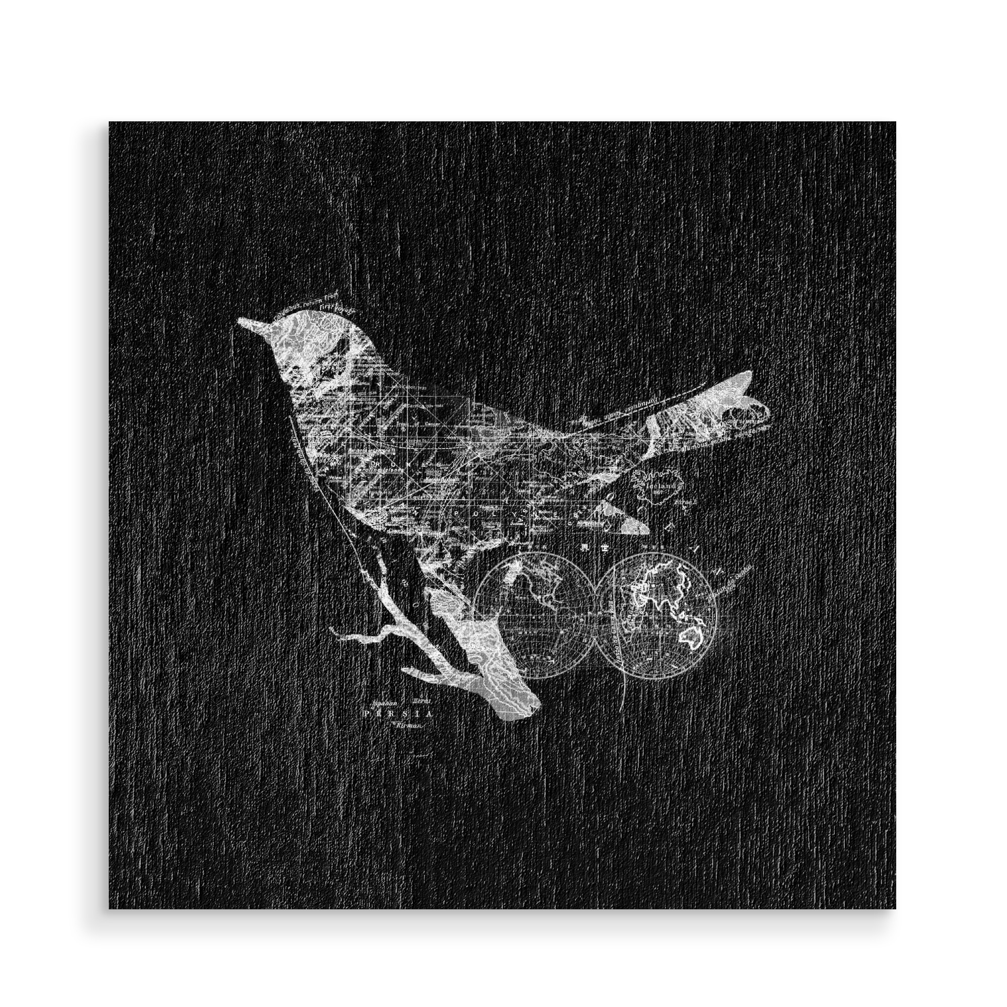 Holzbild "Bird Wanderlust" artboxONE - Tiere,Kartografie