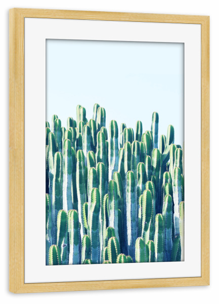 Poster mit Rahmen kiefer "Cactus ||" artboxONE - Natur,Reise - Kaktus,Pflanze,Wüste,Natur,Landschaft,Fotografie,Kaktus,Kakteen