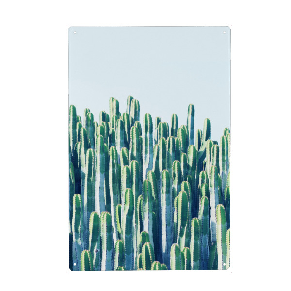Metall Poster "Cactus ||" artboxONE - Natur,Reise - Kaktus,Pflanze,Wüste,Natur,Landschaft,Fotografie,Kaktus,Kakteen - Blechschild