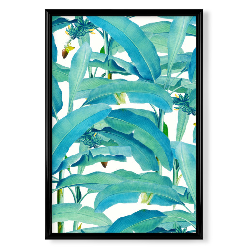 Banana Forest