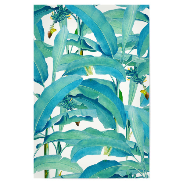 Poster "Banana Forest" artboxONE - Natur,Floral,Essen & Trinken - Banana leaves,Tropical,Nature,Pattern,Bananenblätter,Blatt,Obst,Frucht,Frühling