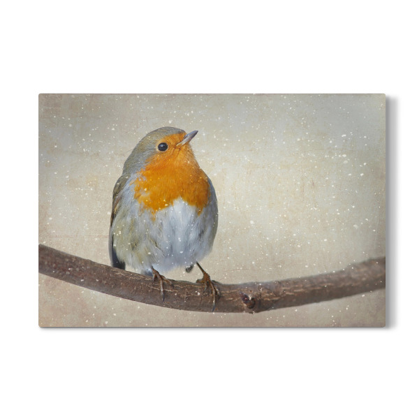 Galerie-Print "Das Rotkehlchen" 30x20 cm artboxONE