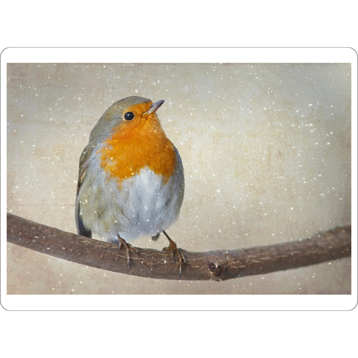 Tischset "Das Rotkehlchen" artboxONE - Tiere