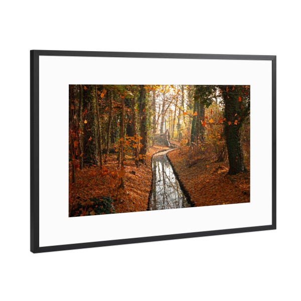 Poster mit Rahmen Schwarz (Metallic) "Berlin im Herbst" artboxONE - Natur
