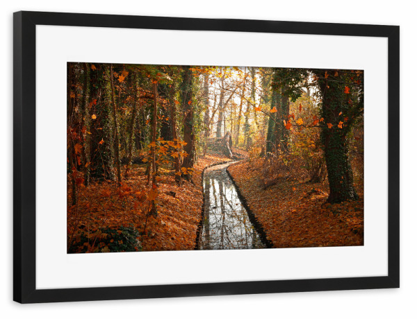 Poster mit Rahmen schwarz "Berlin im Herbst" artboxONE - Natur