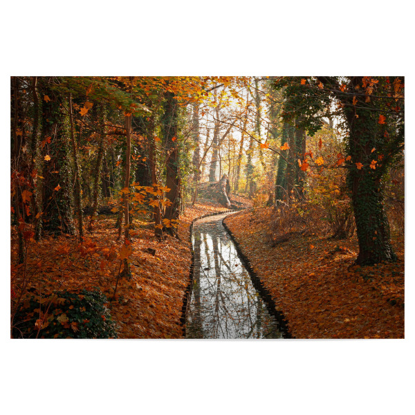 Poster 30x20 cm "Berlin im Herbst" artboxONE - Natur