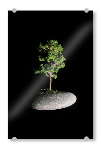 Acrylglasbild "The First Sanctuary" artboxONE - Natur - Baum,Felsen,Natur,Skulptur,Raum,Zen,Garten,Meditation,Friedlich,Minimal,Ruhig,Heiligtum