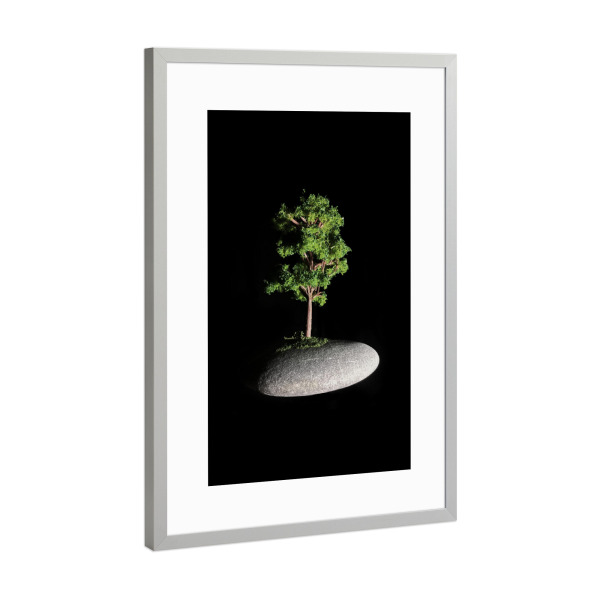 Poster mit Rahmen Silber "The First Sanctuary" artboxONE - Natur