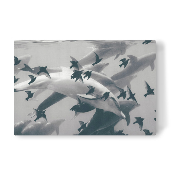 Leinwandbild "FoundOut" artboxONE - Tiere,Abstrakt,Schwarzweiß - Delphin,Vogel,Unterwasser,Unterwasser,Delphin,Delfin,Vögel,Tiere,Wasser,Wasser