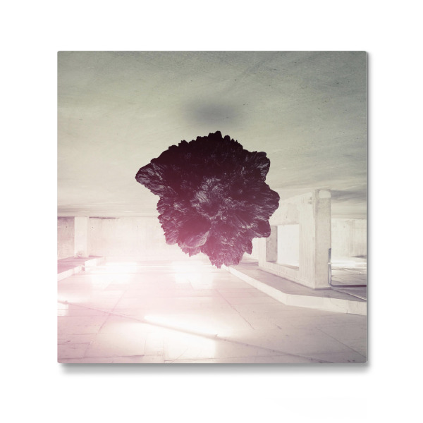 Galerie-Print "Amazrd" 30x30 cm artboxONE