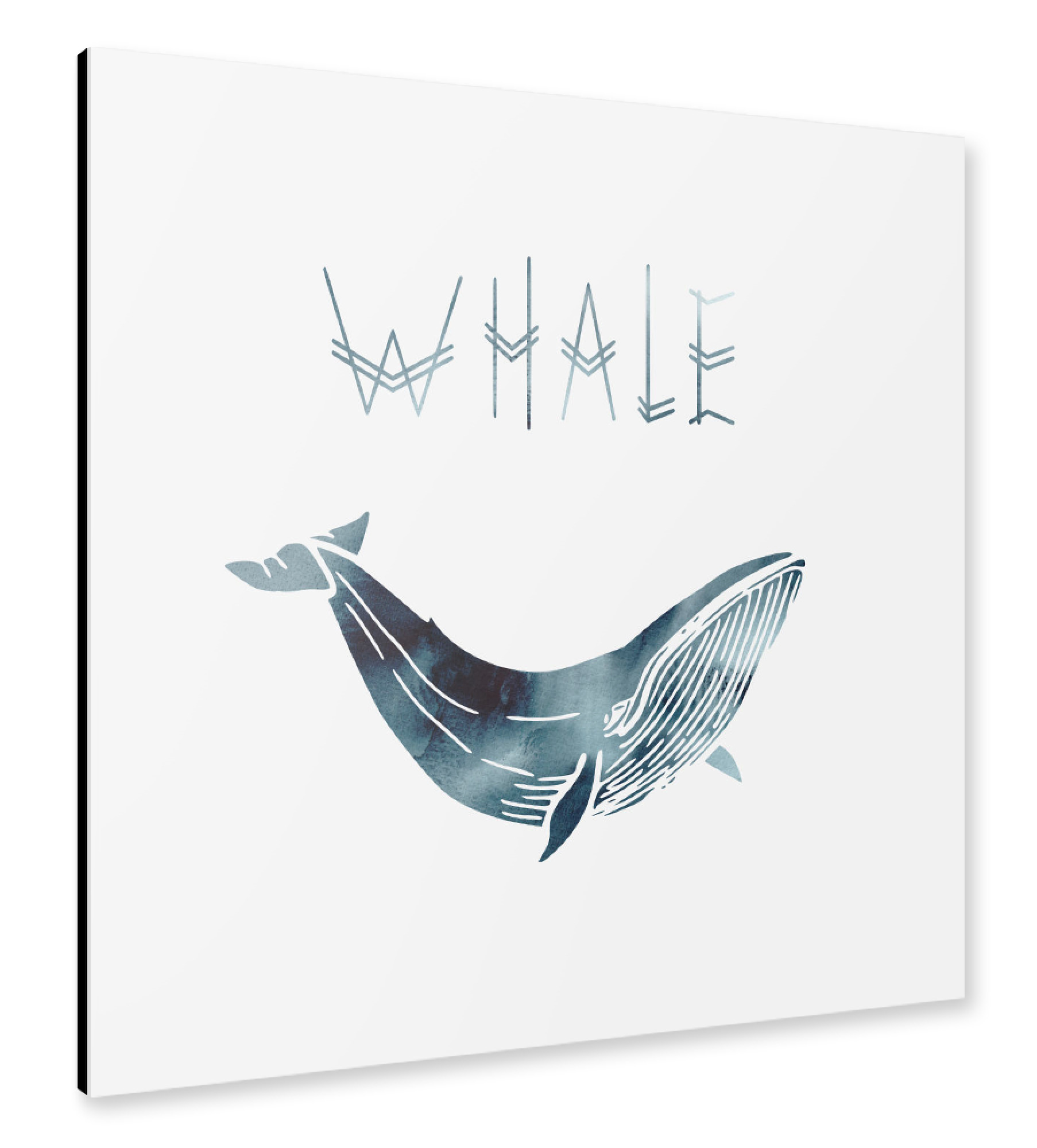 Alu-Dibond "Whale I" 30x30 cm artboxONE