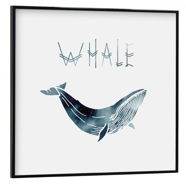 Poster mit schwarzem Rahmen 30x30 cm "Whale I" artboxONE - Natur,Tiere - Whale,Typo,Schrift,Nature,Wal,Flosse,Meer,Ozean,Lebewesen,Willy