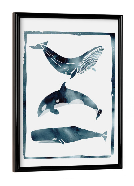 Poster mit schwarzem Rahmen "Whale II" artboxONE - Natur,Tiere - Whale,Nature,Wal,See,Fisch,Meer,Ozean,Flossen,Willy