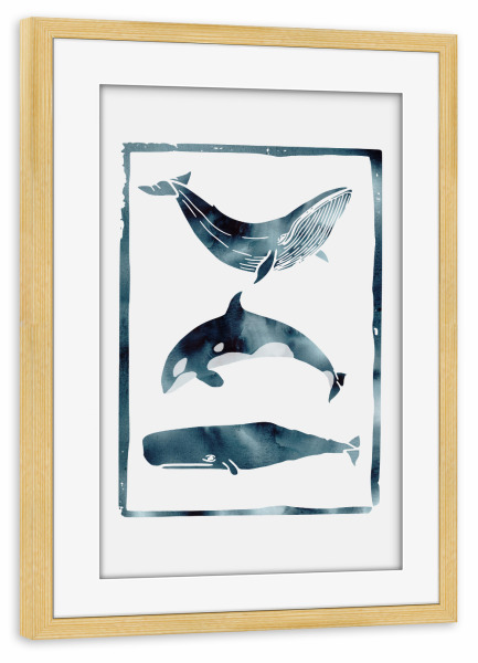 Poster mit Rahmen kiefer "Whale II" artboxONE - Natur,Tiere - Whale,Nature,Wal,See,Fisch,Meer,Ozean,Flossen,Willy