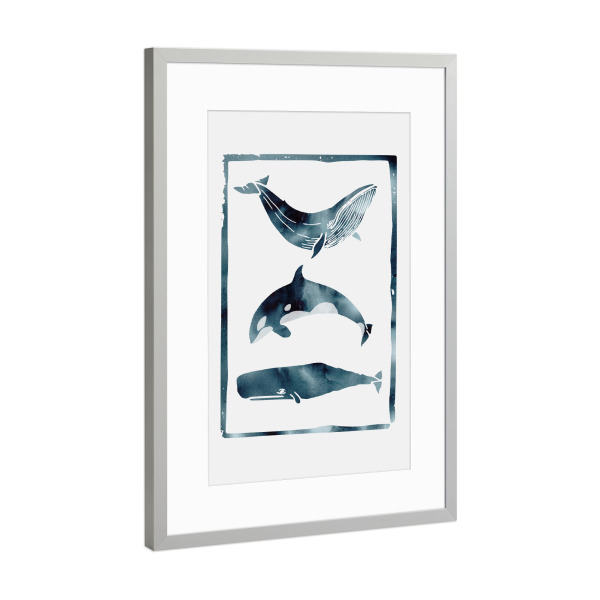 Poster mit Rahmen Silber "Whale II" artboxONE - Natur,Tiere - Whale,Nature,Wal,See,Fisch,Meer,Ozean,Flossen,Willy