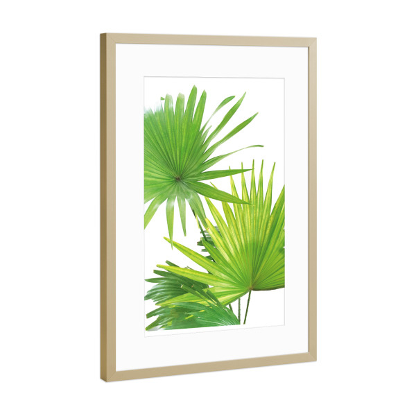 Poster mit Rahmen Gold "Palmenblätter" artboxONE - Natur,Floral - Palm,Leaf,Greenery,Palmen,Blätter,Baum,Palmenblatt,Natur,Tropen,Sommer,Sonne