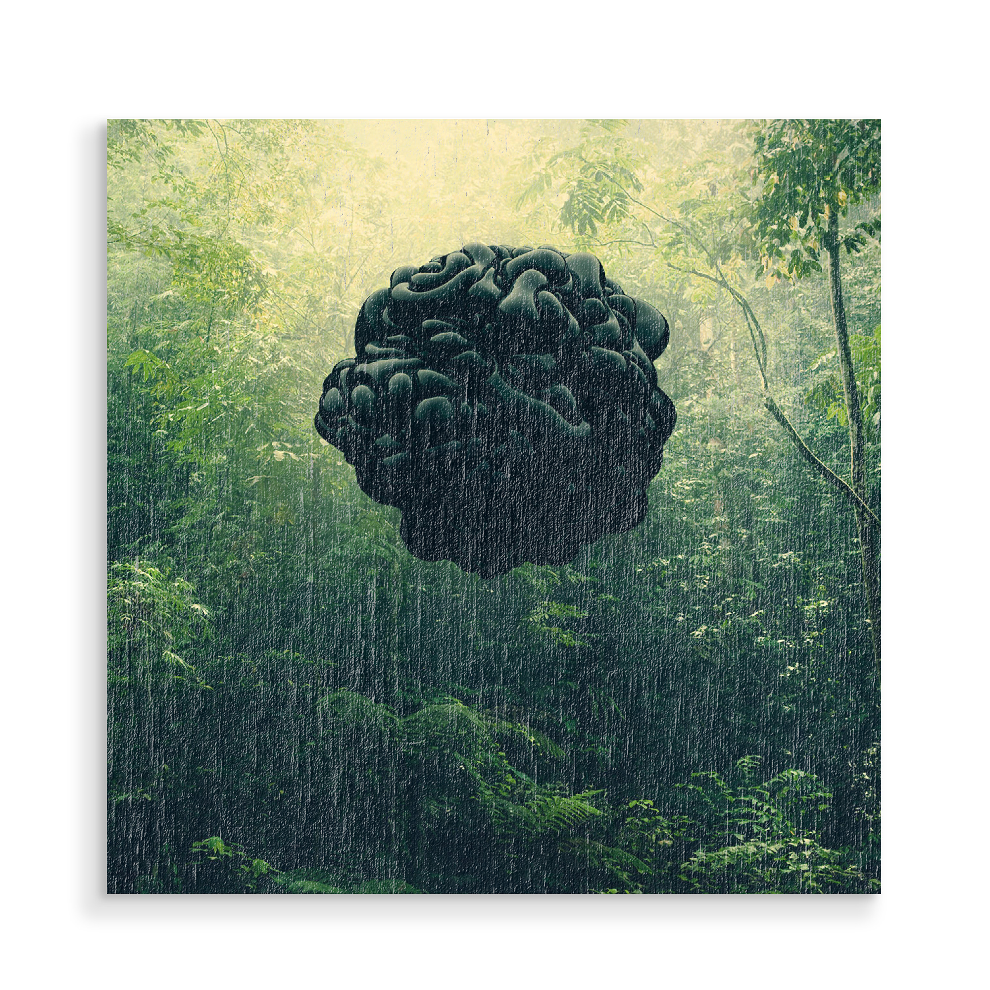 Holzbild "Blacks" artboxONE - Natur - Dschungel,Wald,Natur,Wald,Element,Abstrakt,Surrealismus,Schwarzematerie
