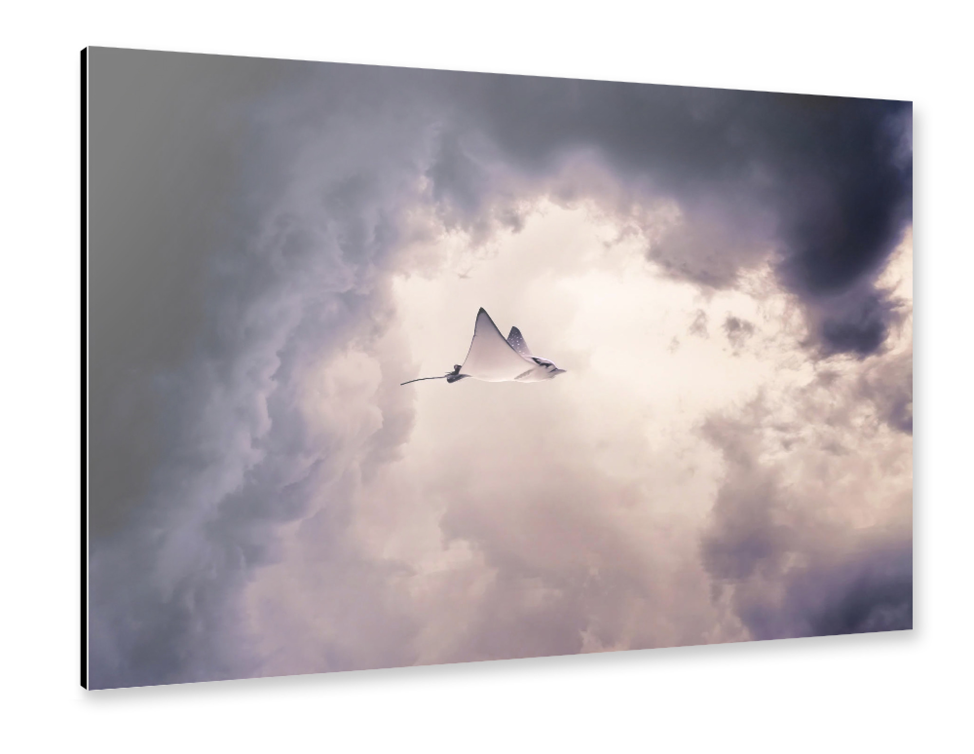 Alu-Dibond "LLTT" 75x50 cm artboxONE