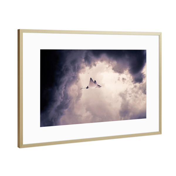 Poster mit Rahmen Gold "LLTT" artboxONE - Natur,Abstrakt - Ramp,Clouds,Surrealism,Wolken,Surreal,Abstrakt,Vogel,Freiheitsdrang,Rochen,Fliegen