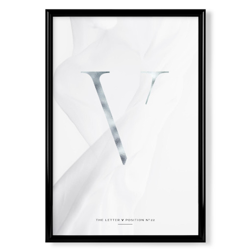 SILBER LETTER COLLECTION | V