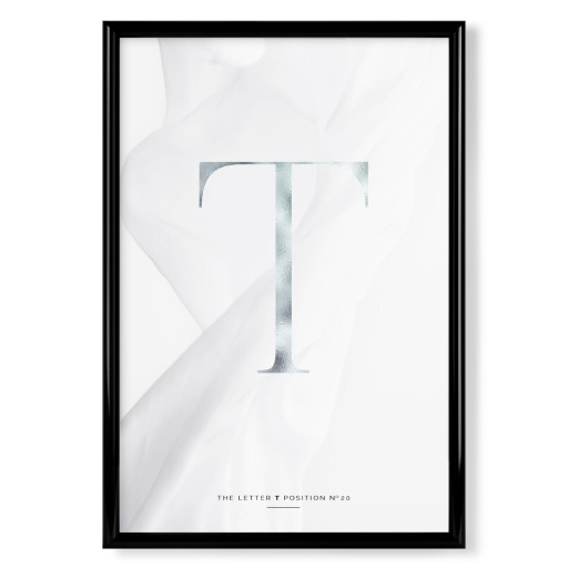 SILBER LETTER COLLECTION | T