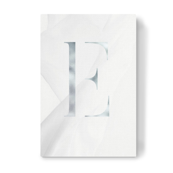 Leinwandbild "SILBER LETTER COLLECTION | E" artboxONE - Schwarzweiß,Buchstaben,Buchstaben / E