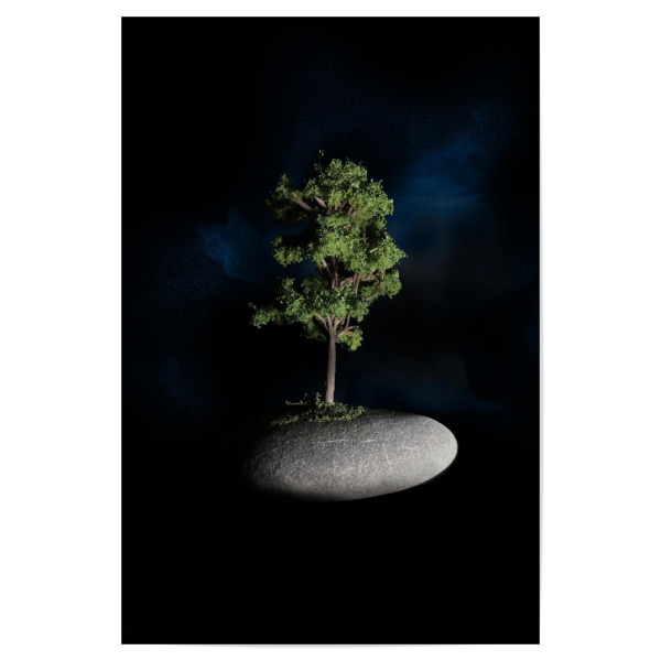 Poster 30x20 cm "The First Sanctuary in Space" artboxONE - Natur - Baum,Stein,Zen,Bonsai,Raum,Nebelfleck,Baum,Natur,Träume,Fiktion,Fantasie