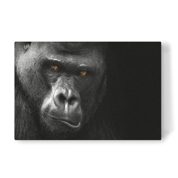 Leinwandbild "Gorilla 3" artboxONE - Tiere,Schwarzweiß