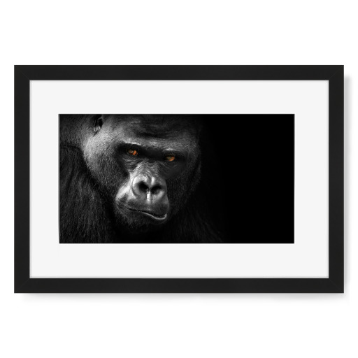 Gorilla 3