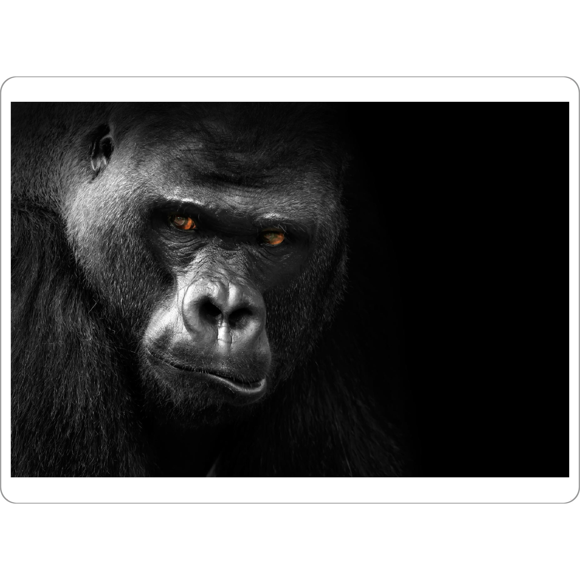 Tischset "Gorilla 3" artboxONE - Tiere,Schwarzweiß