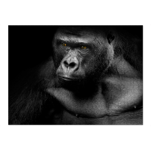 Puzzle Ravensburger "Gorilla 2" artboxONE - Tiere,Schwarzweiß