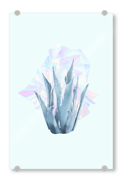 Acrylglasbild "Holographic Succulent" artboxONE - Natur,Floral