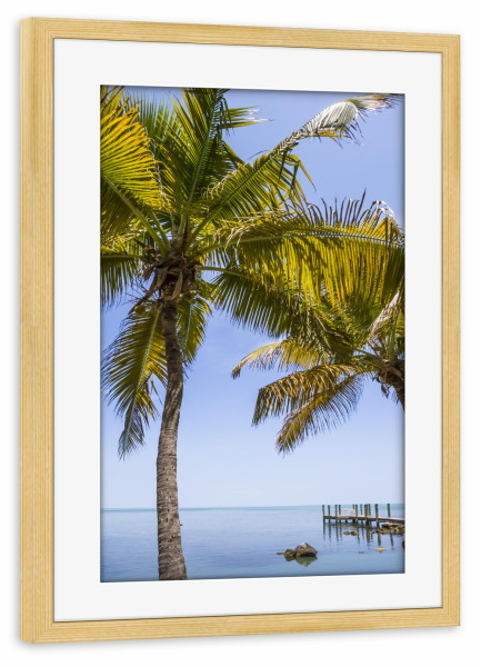 Poster mit Rahmen kiefer "FLORIDA KEYS Paradiesischer Ort" artboxONE - Natur,Reise,Reise / Strand und Meer,Reise / Länder