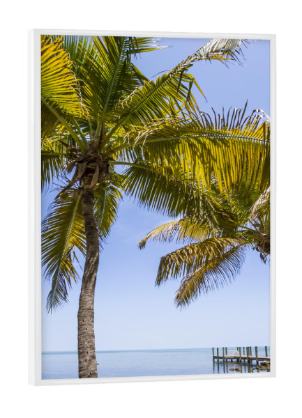 Poster mit weißem Rahmen "FLORIDA KEYS Paradiesischer Ort" artboxONE - Natur,Reise,Reise / Strand und Meer,Reise / Länder