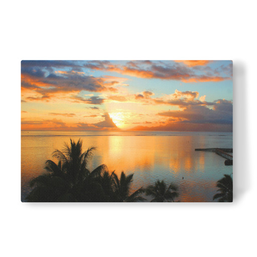 Palms and sunset