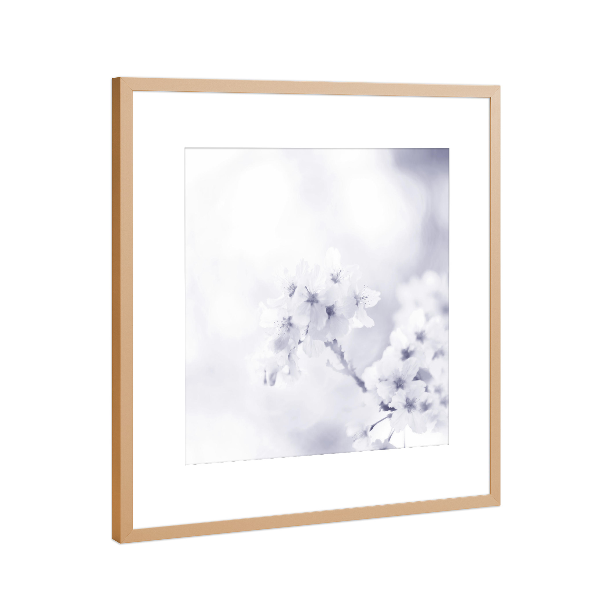 Poster mit Rahmen Kupfer "Blütentraum" artboxONE - Natur,Floral,Schwarzweiß - Blüten,Frühling,Nahaufnahme kirschblüte,Makro,Baum,Wiese,Blume
