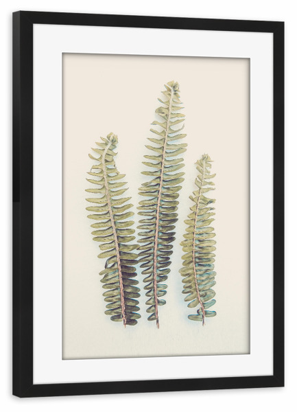 Poster mit Rahmen schwarz "Fern Fronds" artboxONE - Natur,Floral