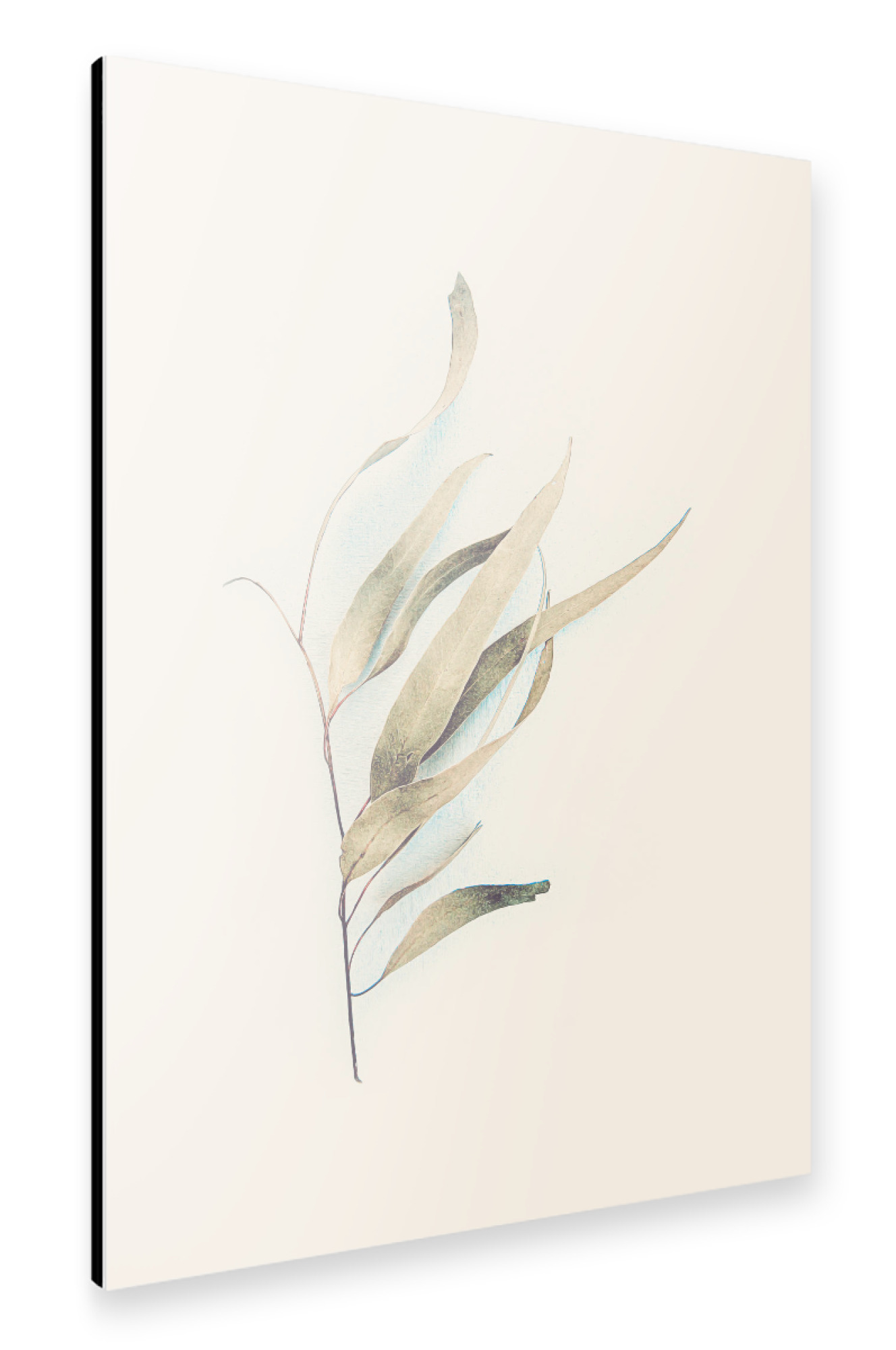 Alu-Dibond "Gum Leaves" 30x20 cm artboxONE