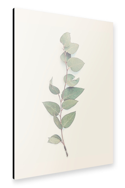 Alu-Dibond "Tender Leaves" 30x20 cm artboxONE