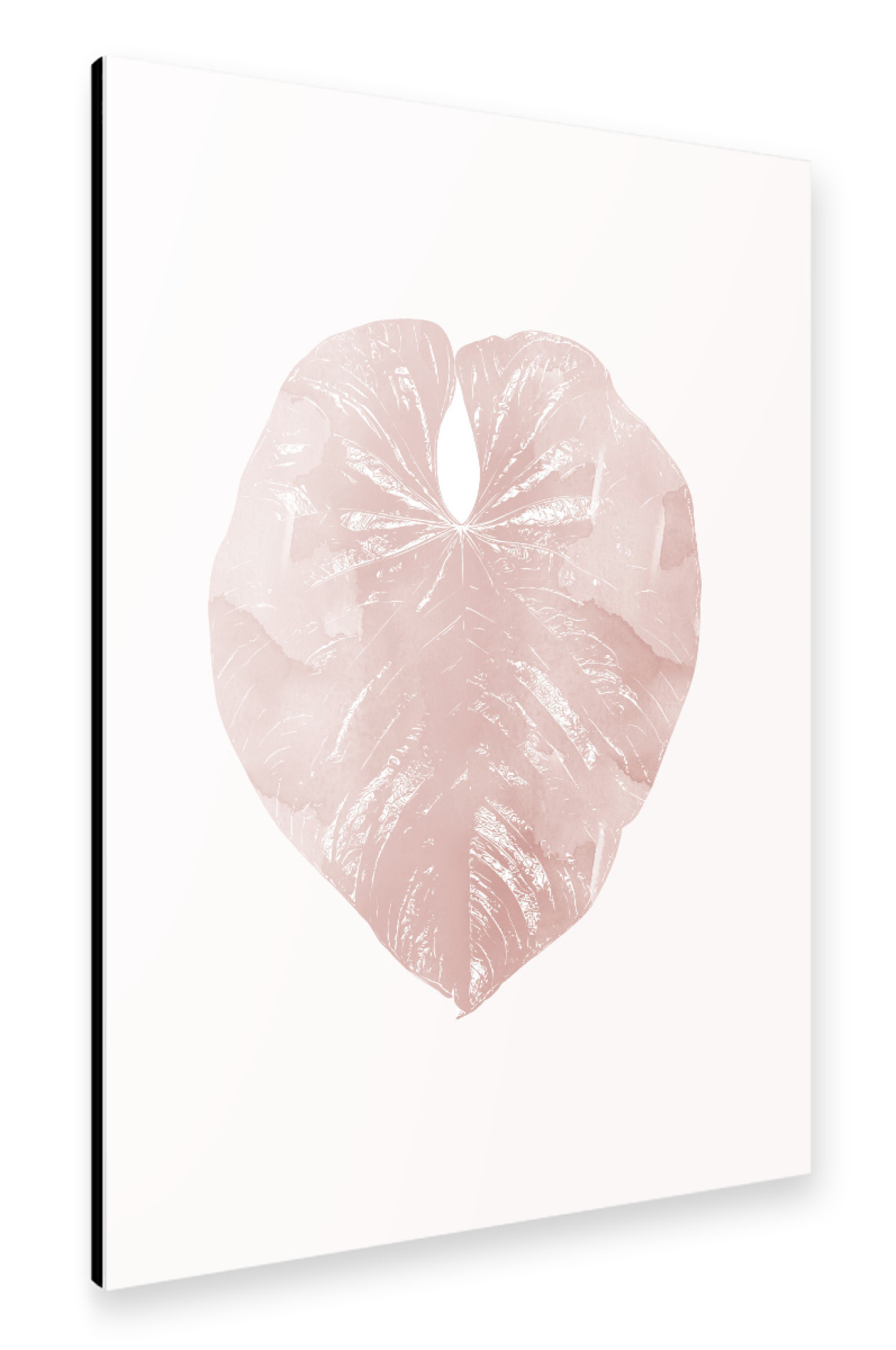 Alu-Dibond "Jungle Leaf in Blush Pink" 30x20 cm artboxONE