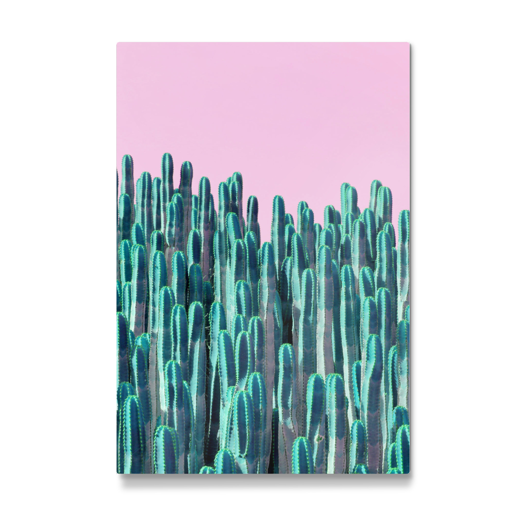 Galerie-Print "Neon Cactus Cereus" 75x50 cm artboxONE
