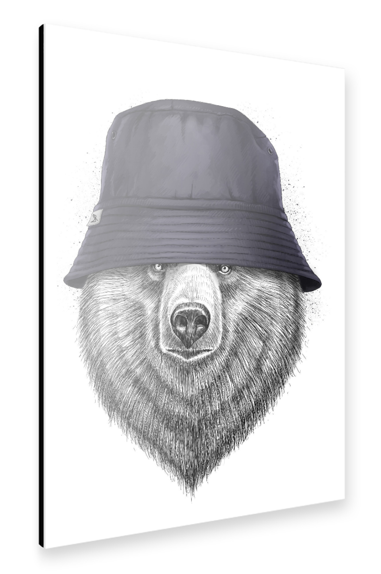 Alu-Dibond "Bear in hat" 75x50 cm artboxONE