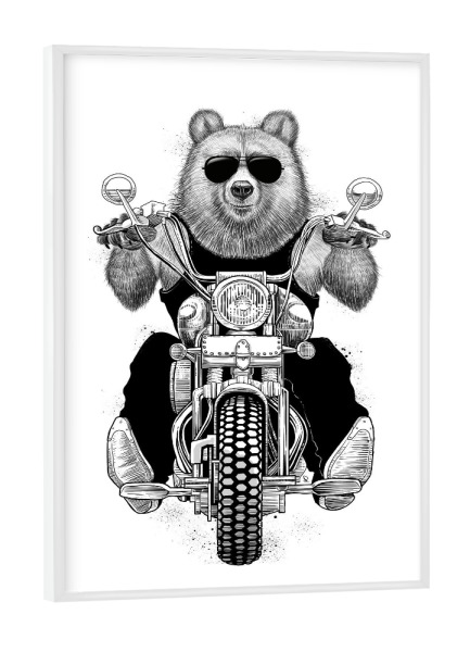 Poster mit weißem Rahmen "Carefree bear" artboxONE - Natur,Sport / Motorsport,Tiere,Schwarzweiß
