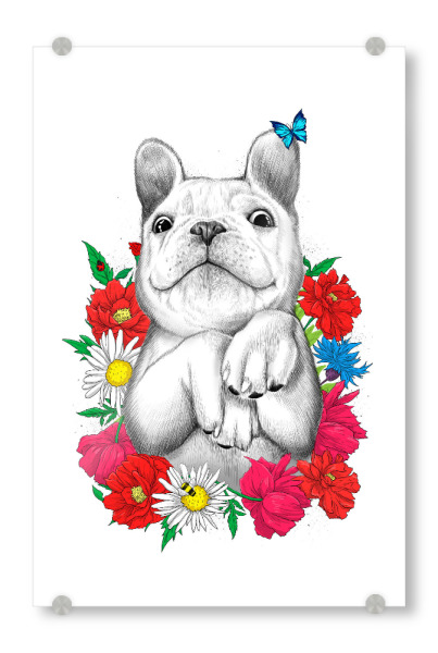 Acrylglasbild "Dog in flowers" artboxONE - Natur,Floral,Tiere,Festivals