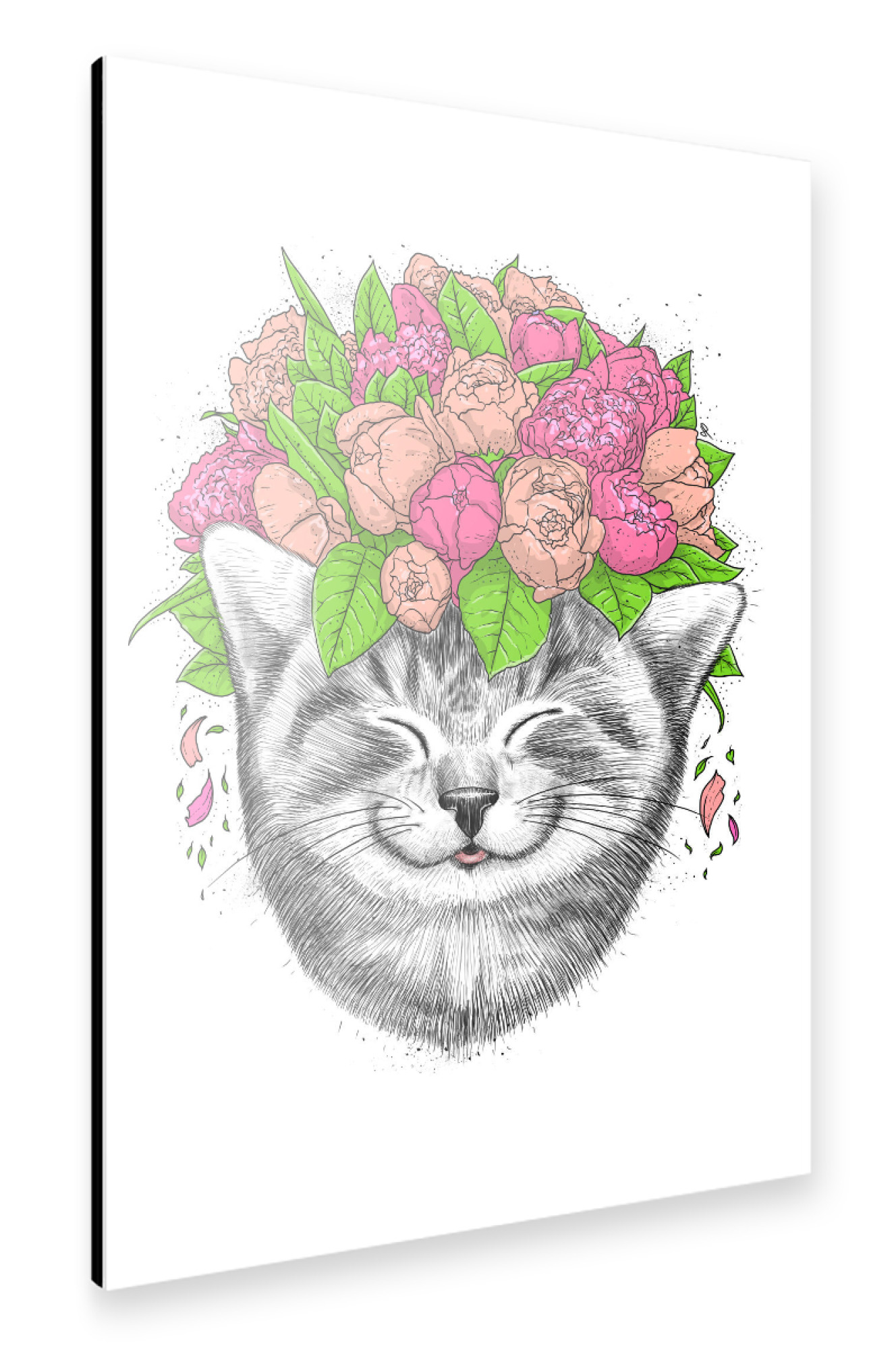 Alu-Dibond "Cat with flowers" 75x50 cm artboxONE
