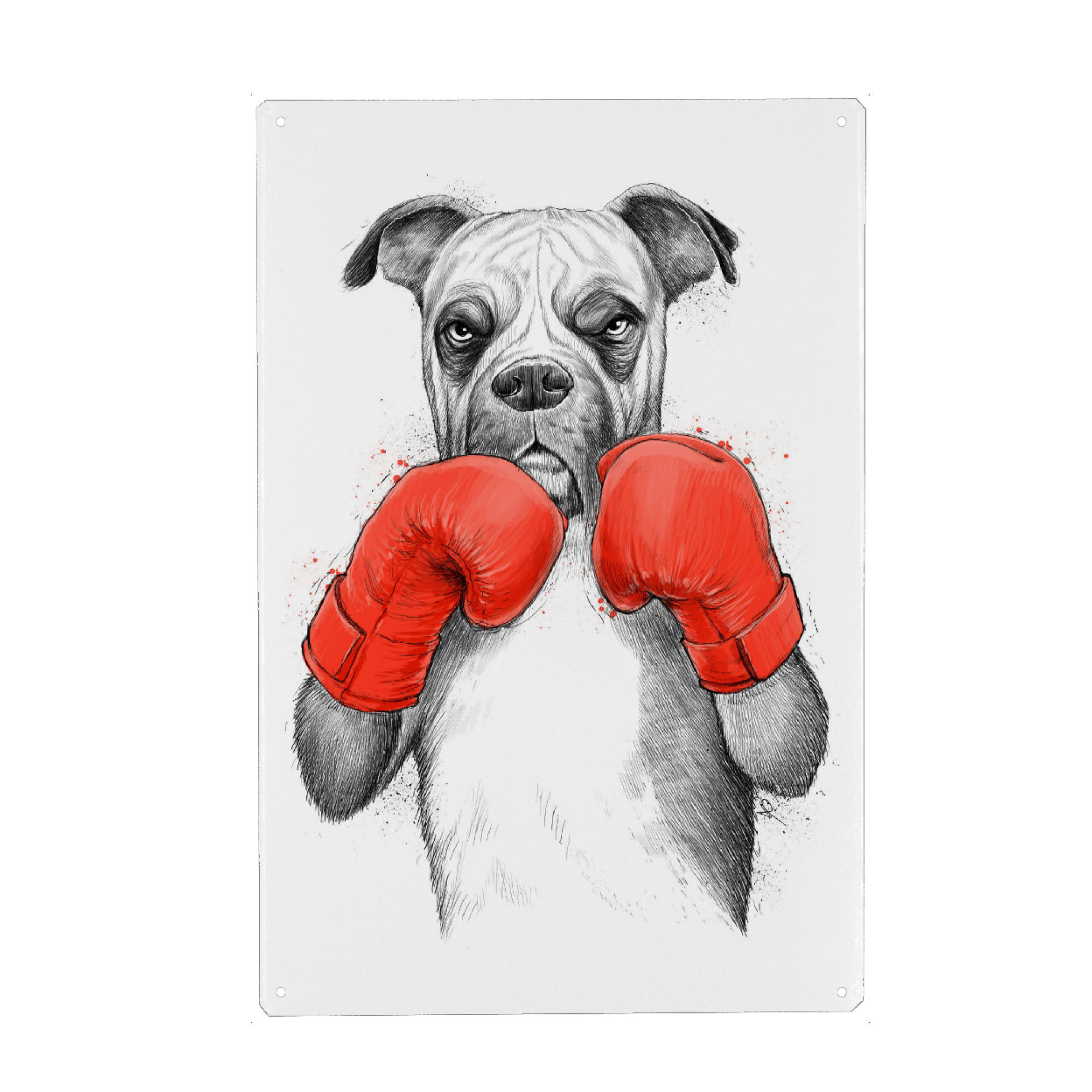 Metall Poster "Boxer" artboxONE - Natur,Tiere,Sport - Hund,Tier,Boxer,Boxen,Handschuhe,Digitale kunst,Hund,Boxen,Haustier,Handschuhe - Blechschild